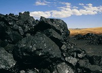 coal